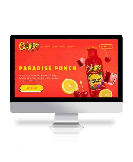 Image de couverture du projet calypso